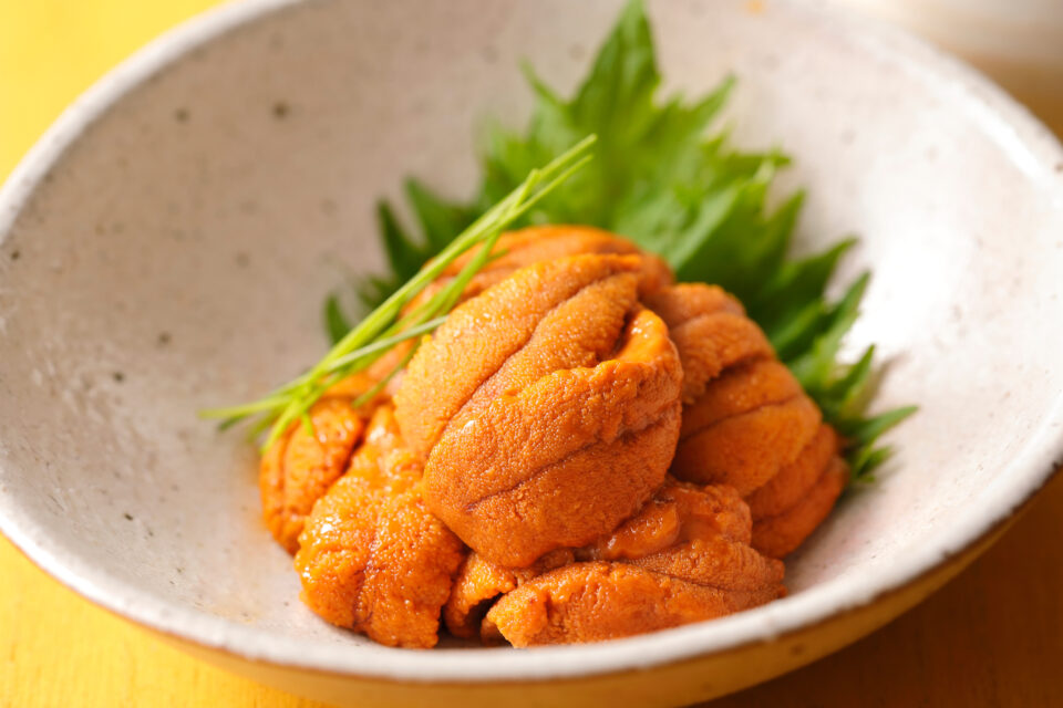 Uni Sashimi